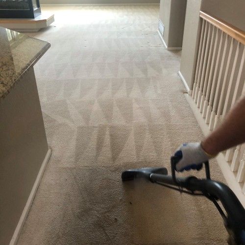 carpet cleaning greenwood-village co results 11