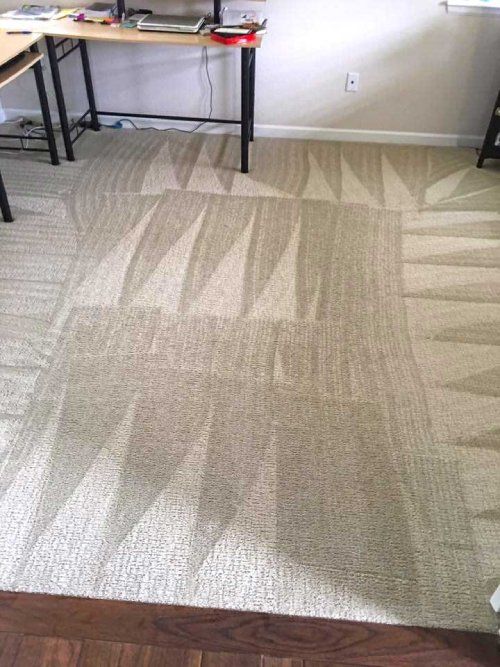 carpet cleaning littleton co results 2