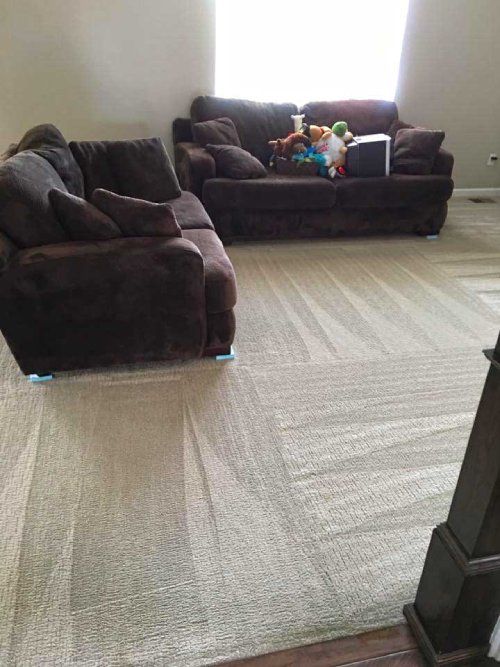 carpet cleaning littleton co results 4