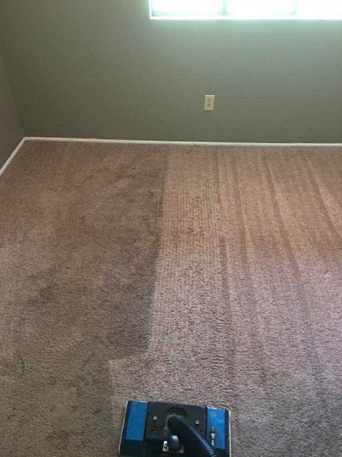 carpet cleaning littleton co results 3
