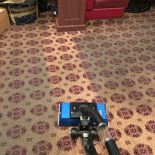 carpet cleaning englewood co results 10