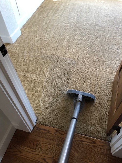 carpet cleaning littleton coresults 6