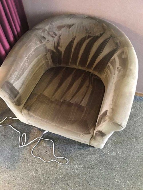 upholstery cleaning littleton co results 1